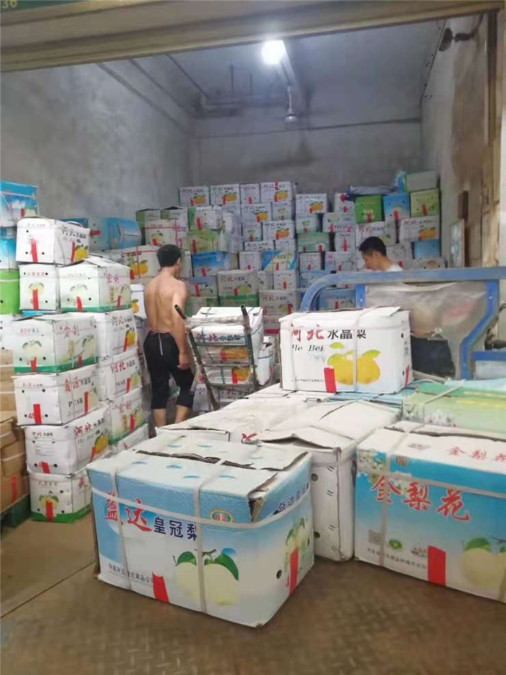 XPJ(中国大陆)有限公司官网