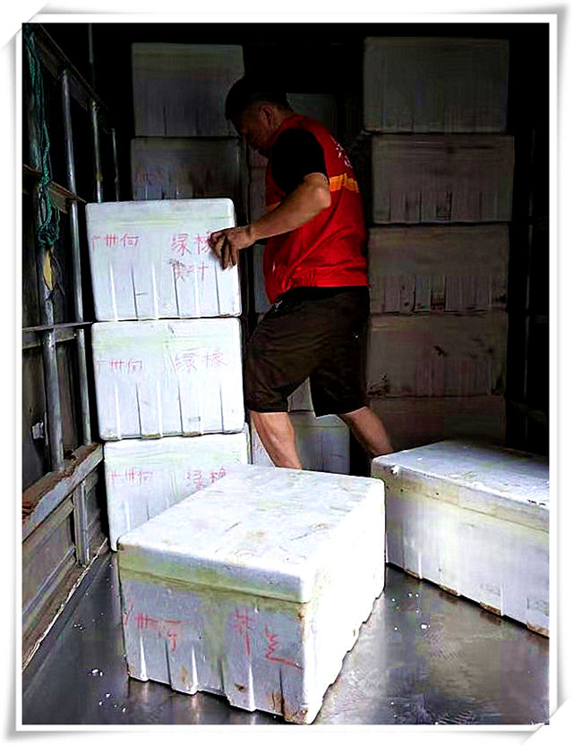 XPJ(中国大陆)有限公司官网