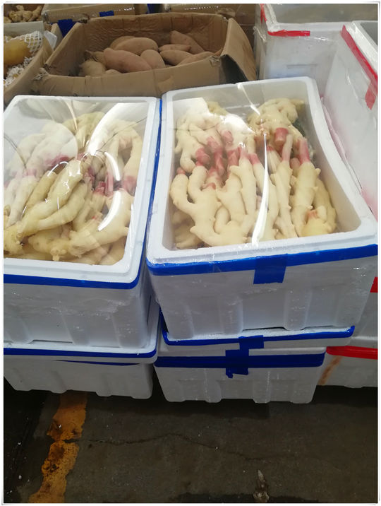 XPJ(中国大陆)有限公司官网