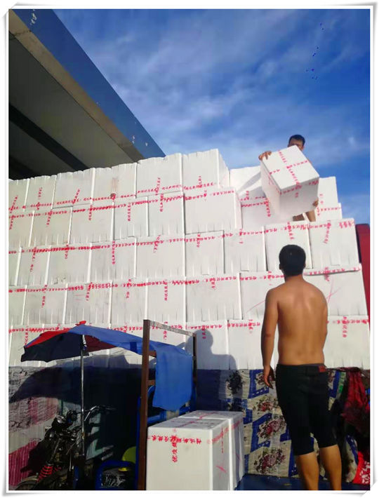 XPJ(中国大陆)有限公司官网