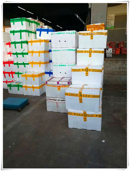 XPJ(中国大陆)有限公司官网