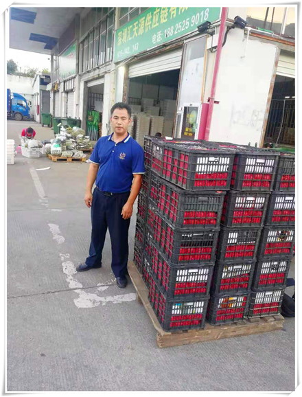 XPJ(中国大陆)有限公司官网