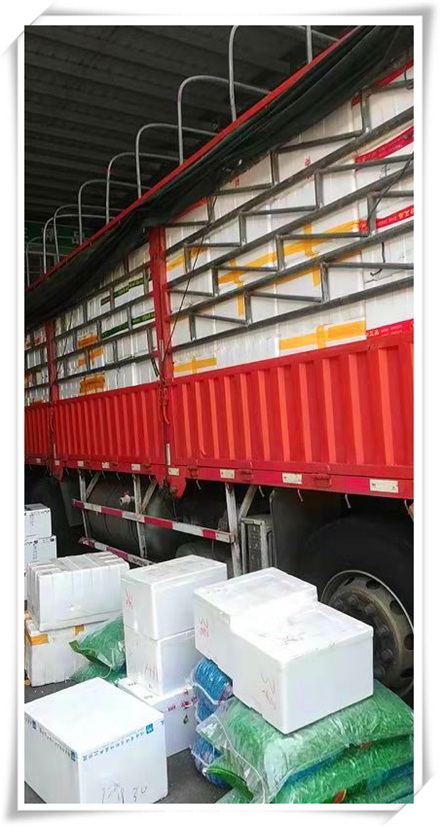 XPJ(中国大陆)有限公司官网