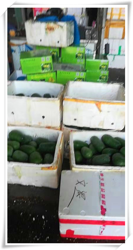 XPJ(中国大陆)有限公司官网