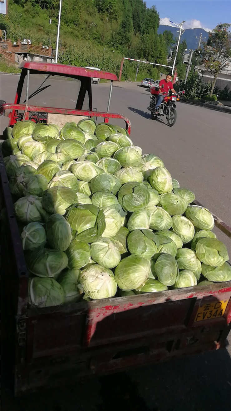 XPJ(中国大陆)有限公司官网