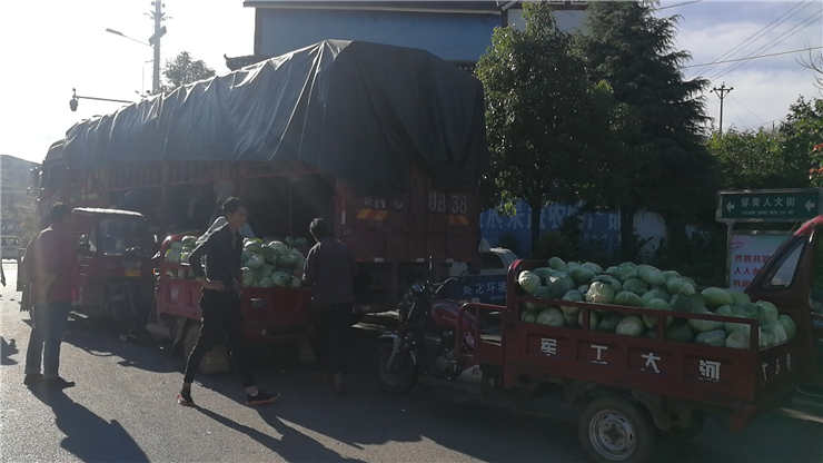 XPJ(中国大陆)有限公司官网