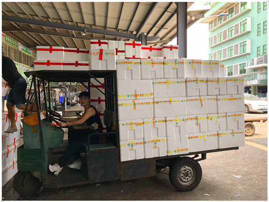 XPJ(中国大陆)有限公司官网