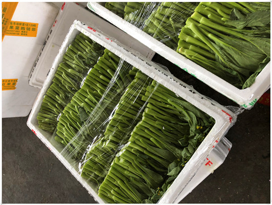 XPJ(中国大陆)有限公司官网