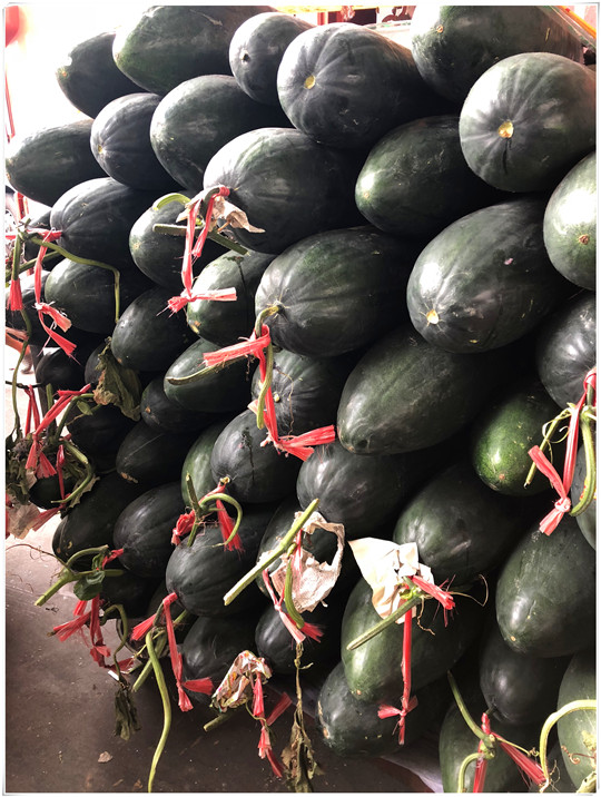 XPJ(中国大陆)有限公司官网