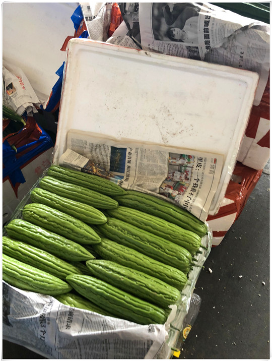 XPJ(中国大陆)有限公司官网