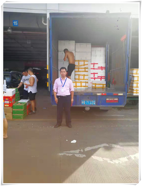 XPJ(中国大陆)有限公司官网