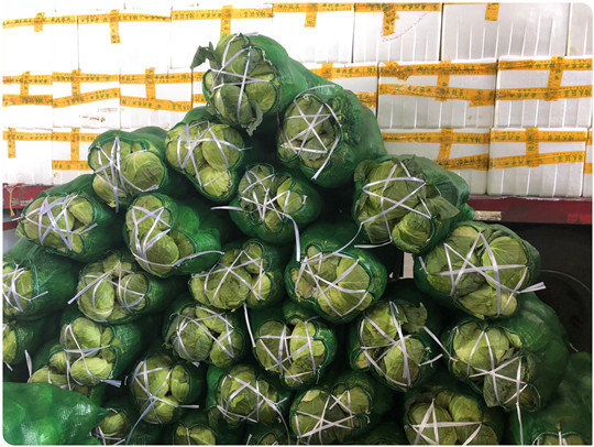 XPJ(中国大陆)有限公司官网