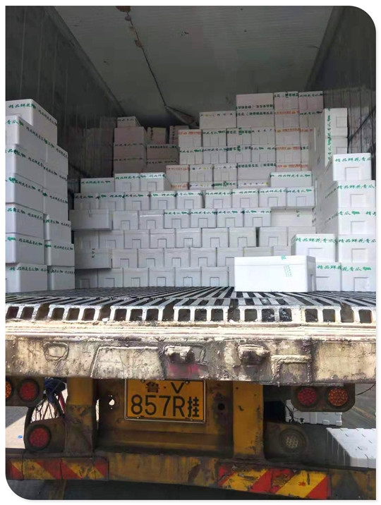 XPJ(中国大陆)有限公司官网