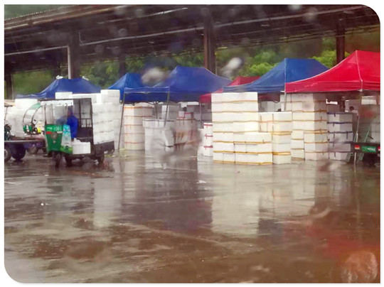 XPJ(中国大陆)有限公司官网