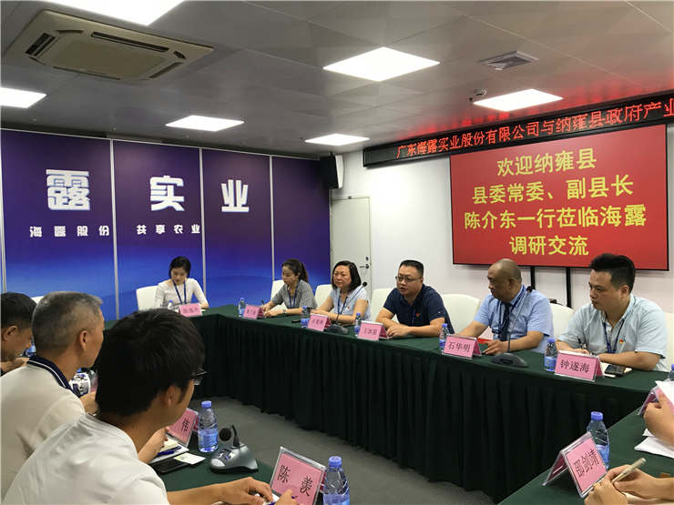 XPJ(中国大陆)有限公司官网