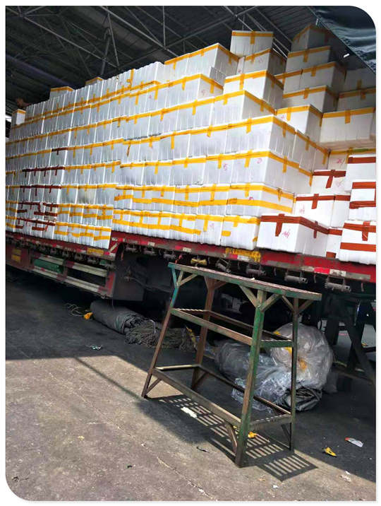 XPJ(中国大陆)有限公司官网