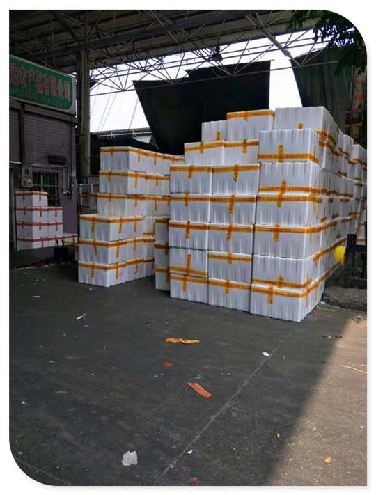 XPJ(中国大陆)有限公司官网