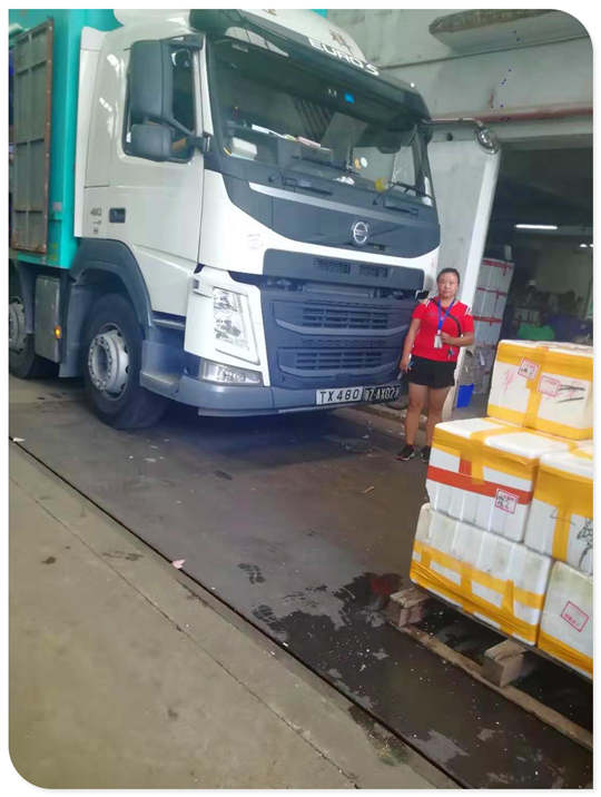 XPJ(中国大陆)有限公司官网