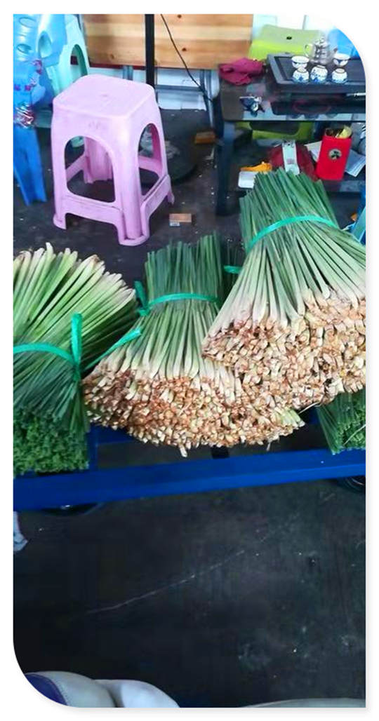 XPJ(中国大陆)有限公司官网