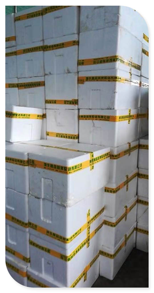 XPJ(中国大陆)有限公司官网