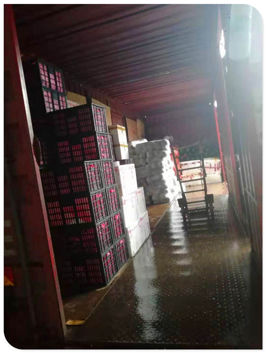 XPJ(中国大陆)有限公司官网