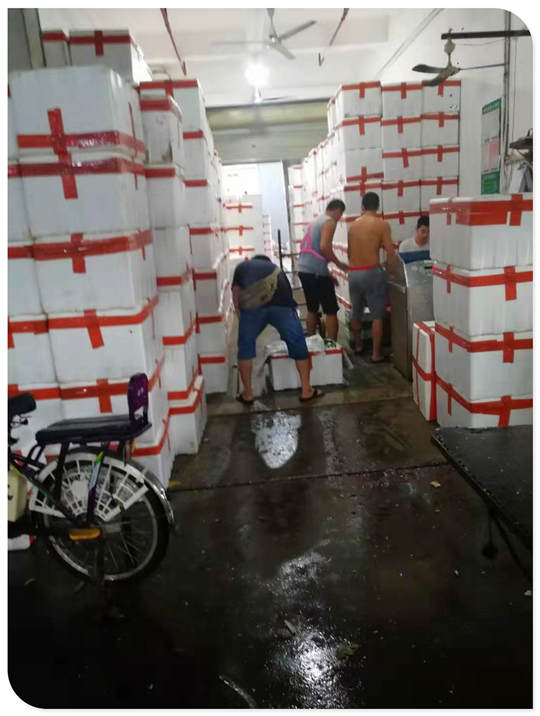 XPJ(中国大陆)有限公司官网