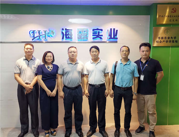 XPJ(中国大陆)有限公司官网