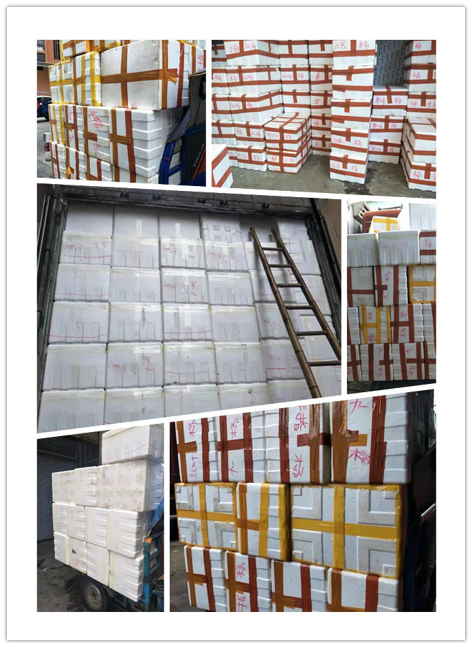 XPJ(中国大陆)有限公司官网