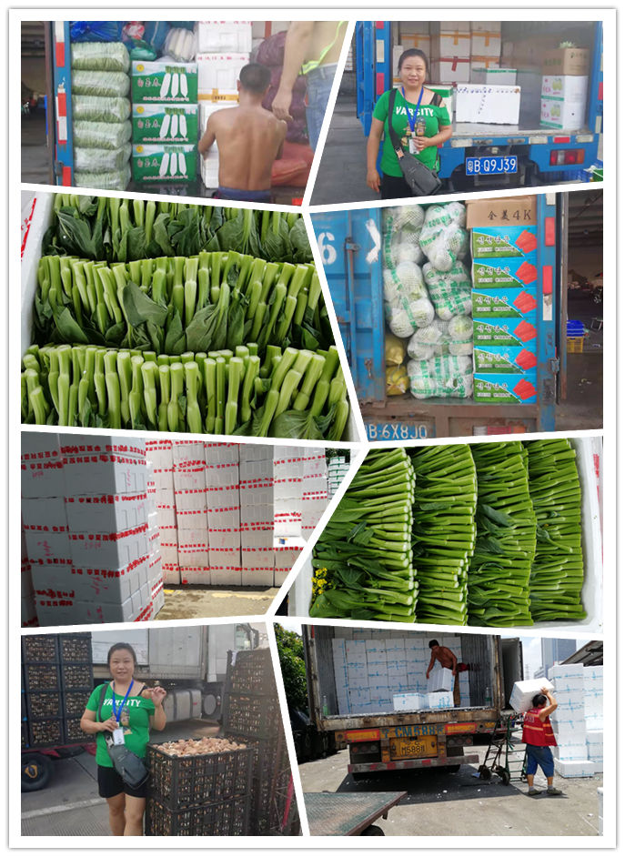 XPJ(中国大陆)有限公司官网