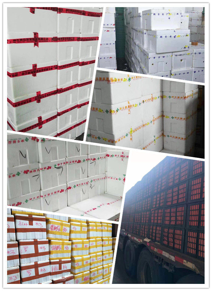 XPJ(中国大陆)有限公司官网