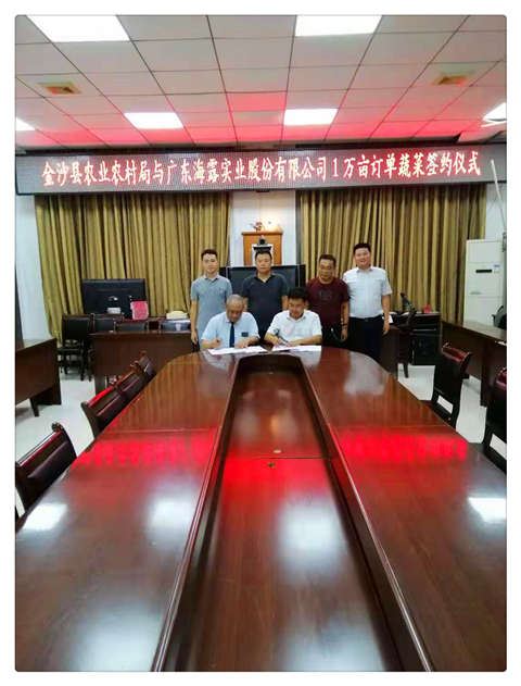 XPJ(中国大陆)有限公司官网