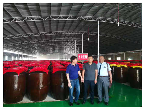 XPJ(中国大陆)有限公司官网