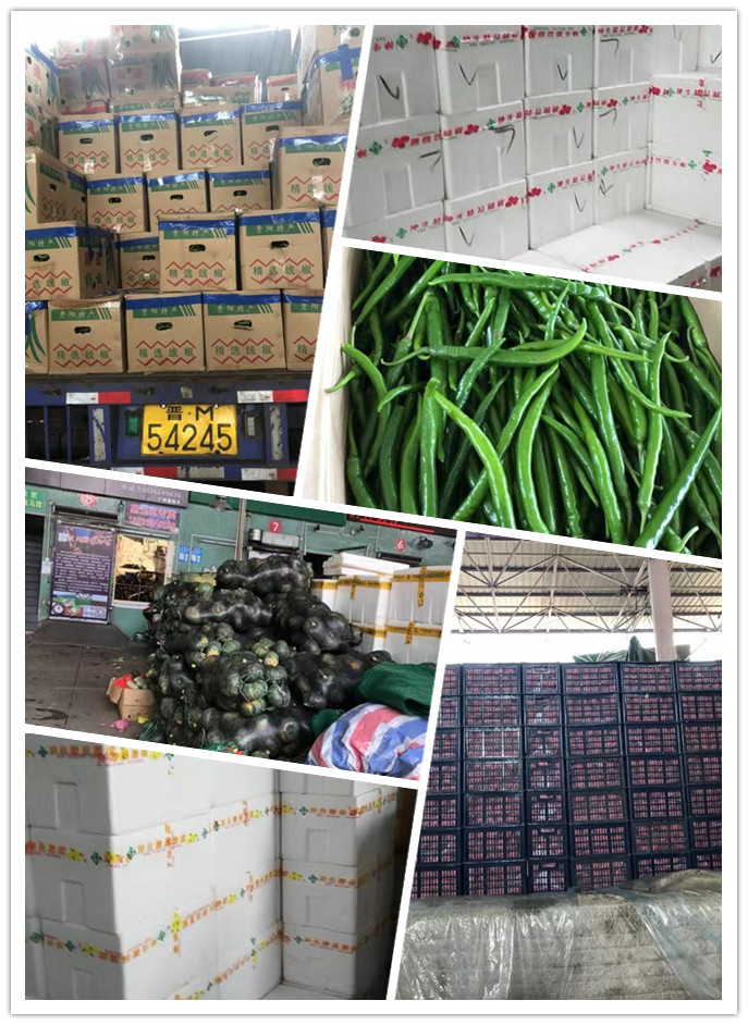 XPJ(中国大陆)有限公司官网