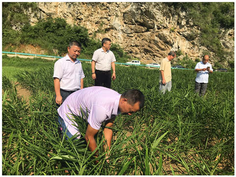 XPJ(中国大陆)有限公司官网