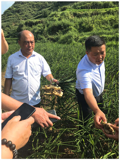 XPJ(中国大陆)有限公司官网