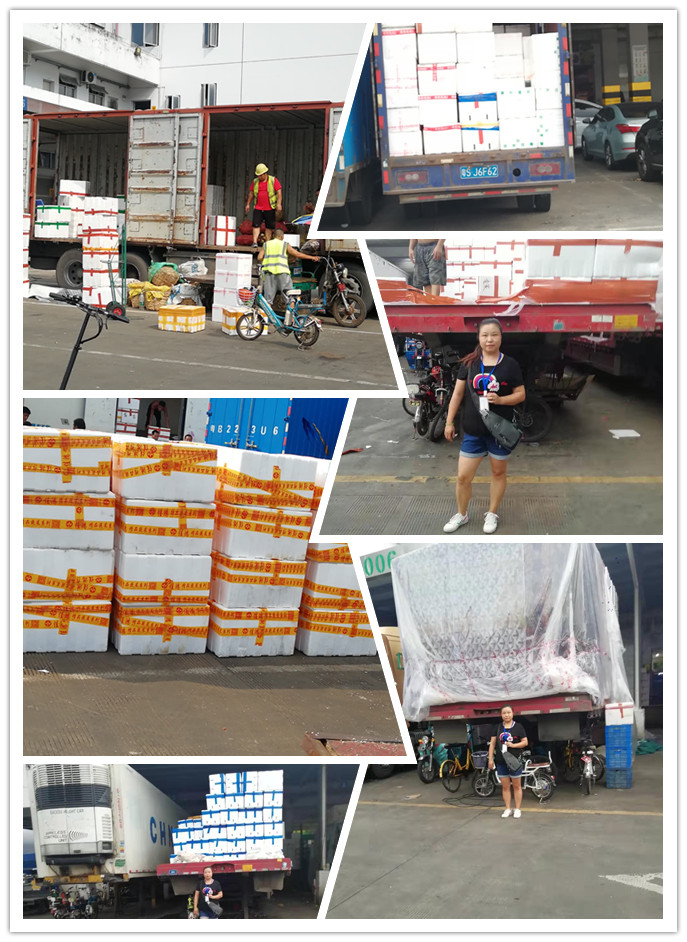 XPJ(中国大陆)有限公司官网