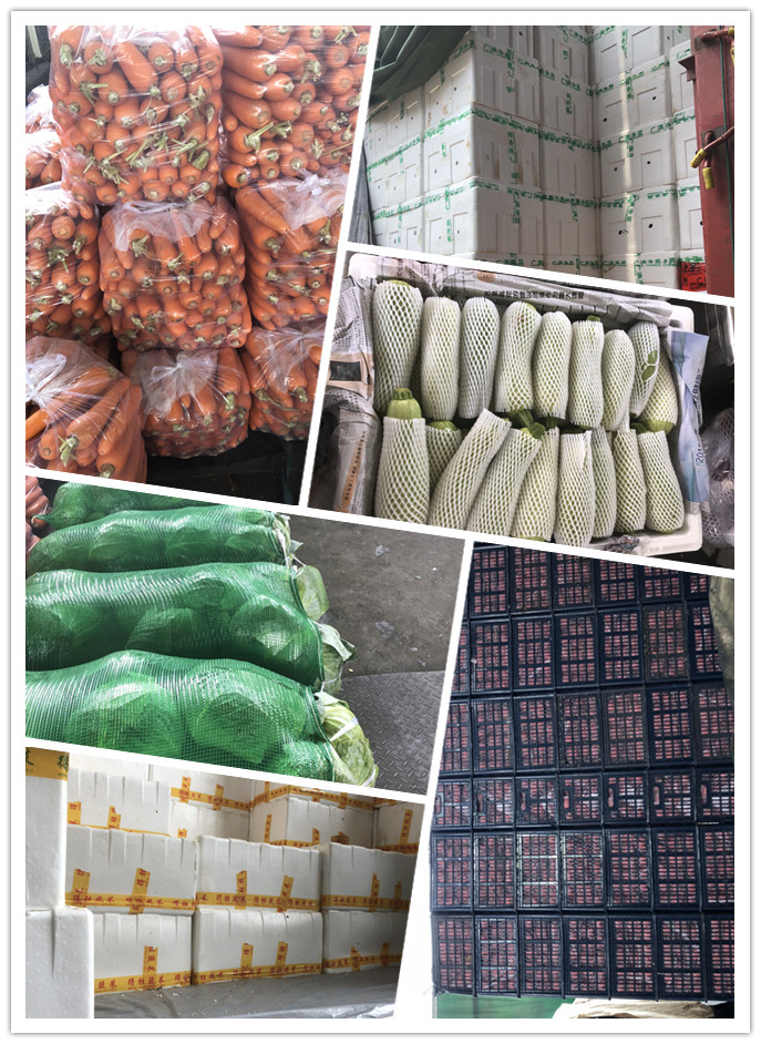 XPJ(中国大陆)有限公司官网