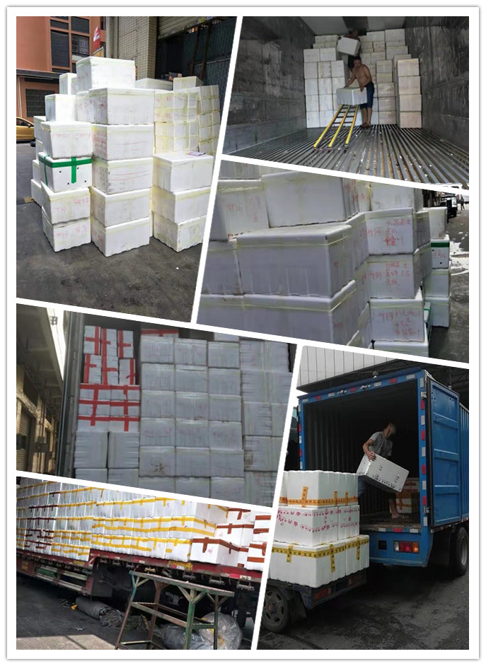 XPJ(中国大陆)有限公司官网