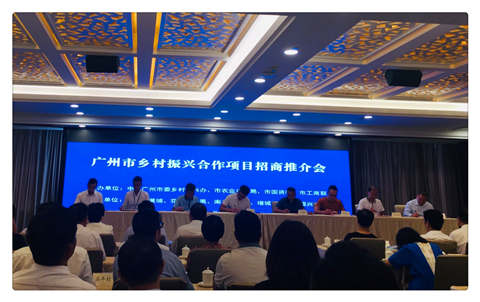 XPJ(中国大陆)有限公司官网