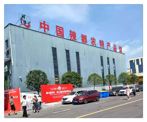 XPJ(中国大陆)有限公司官网