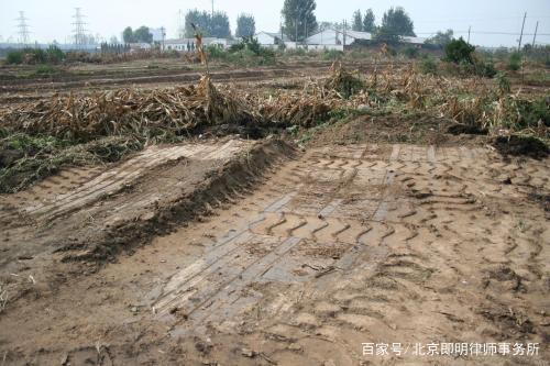 XPJ(中国大陆)有限公司官网