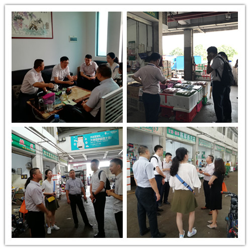 XPJ(中国大陆)有限公司官网