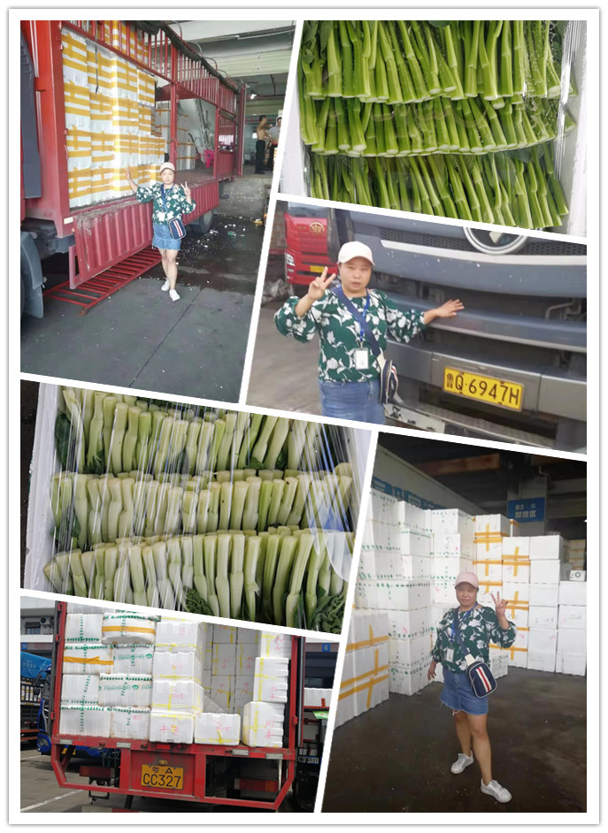 XPJ(中国大陆)有限公司官网