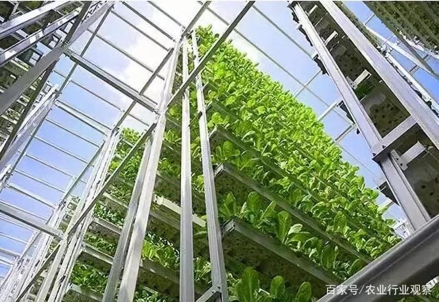 XPJ(中国大陆)有限公司官网