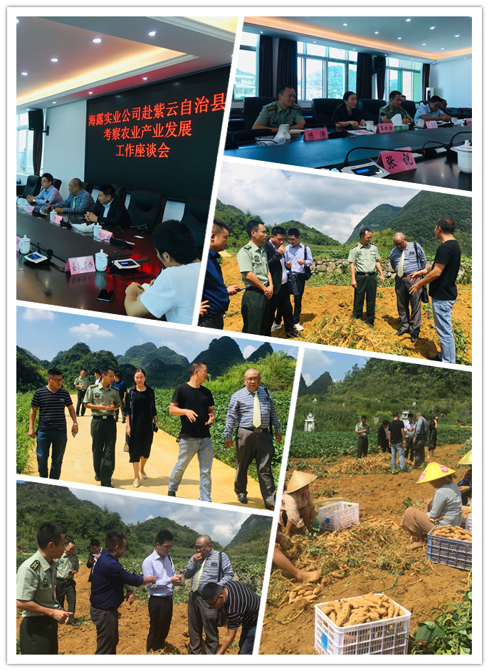 XPJ(中国大陆)有限公司官网