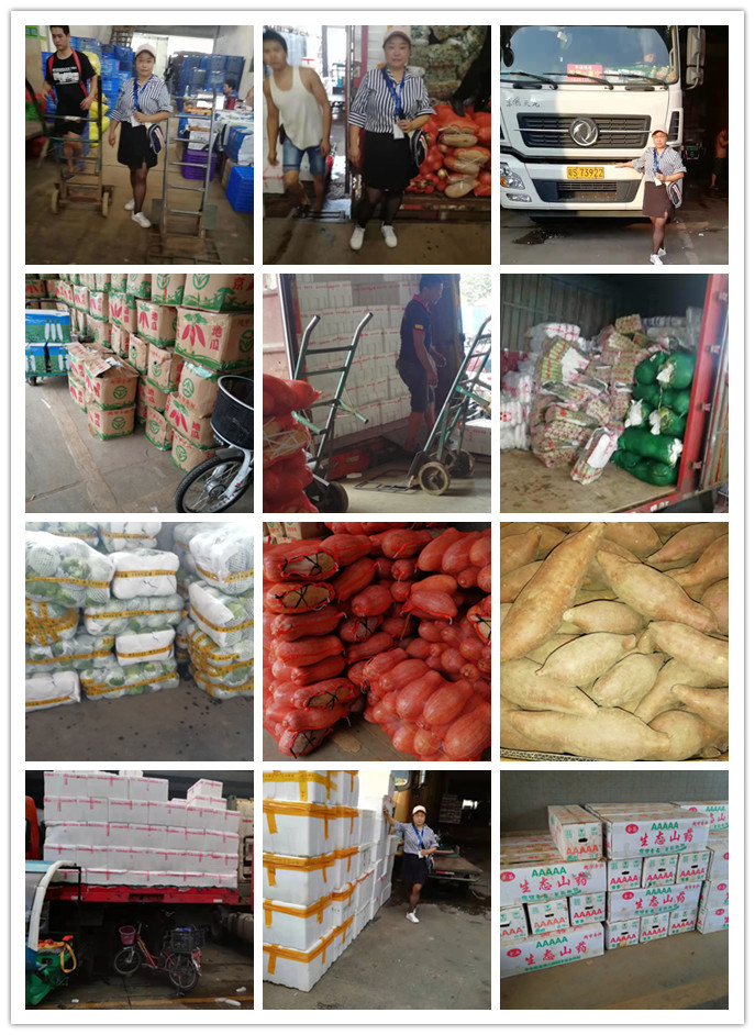 XPJ(中国大陆)有限公司官网