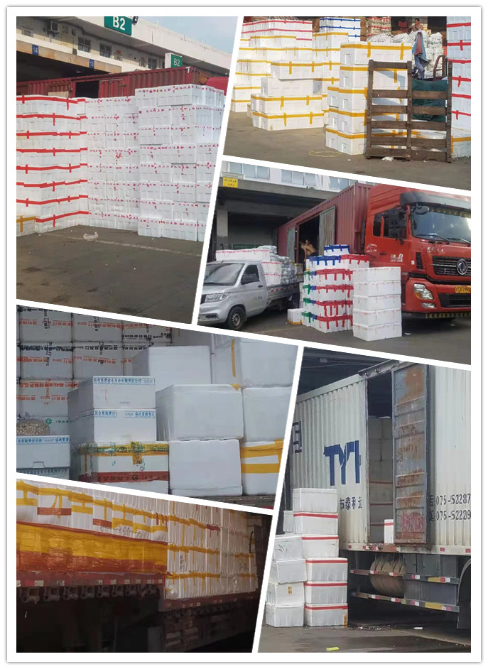 XPJ(中国大陆)有限公司官网