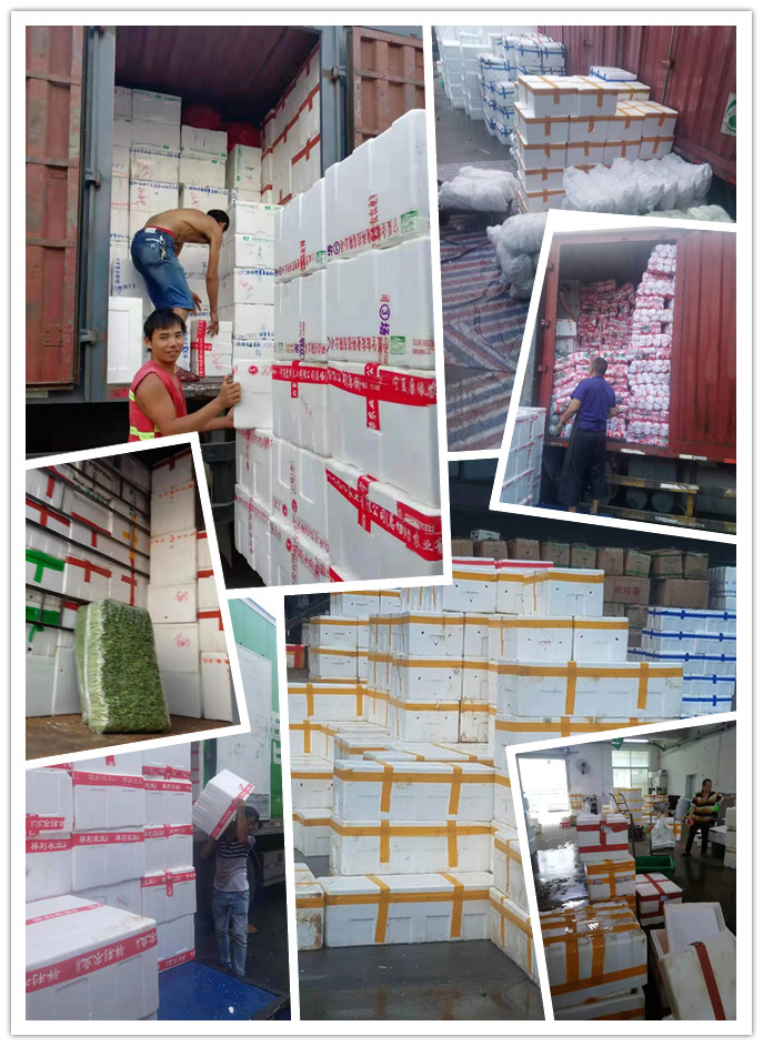 XPJ(中国大陆)有限公司官网