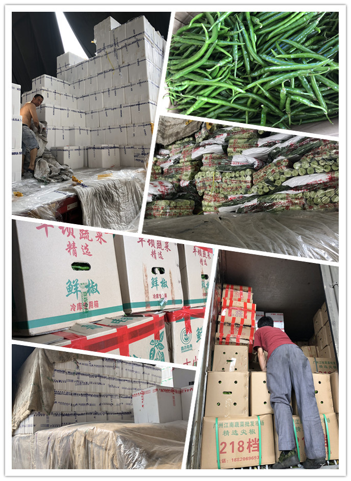 XPJ(中国大陆)有限公司官网