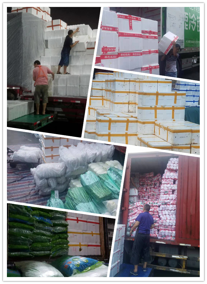 XPJ(中国大陆)有限公司官网